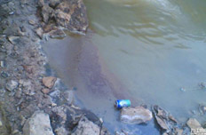 一吨锰八吨渣 电解锰急需绿色发展