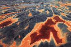 全国污染地块至少30万块 绝大多数未被修复