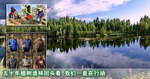 植树造林，我们一直在行动