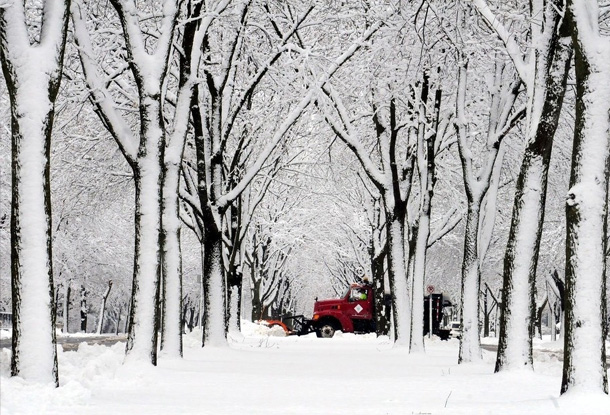 美国暴风雪过后的美丽景观