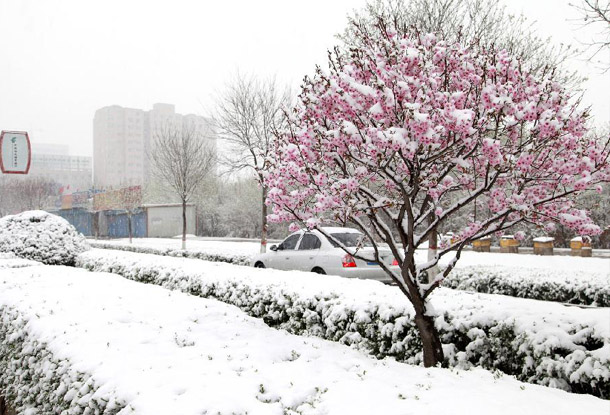 中国西北华北等地降温降雪 迎&ldquo;倒春寒&rdquo;天气