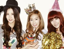 少女时代、宋仲基等明星携遗弃犬拍环保写真