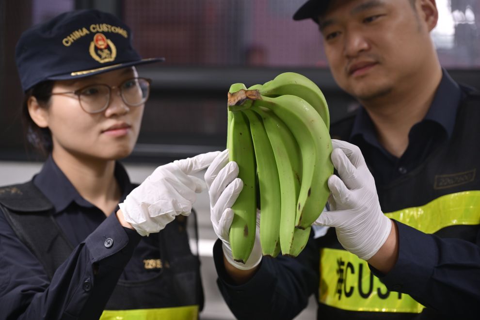 第九届进博会在沪开幕 全球农产品抢滩与行业转型趋势并存