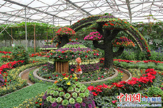 寿光第十五届菜博会将于4月20日举行