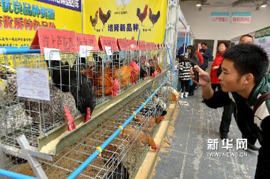 华东地区畜牧业博览会在济南举行