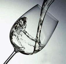 茅台董事长袁仁国：白酒行业由调整期转重构期