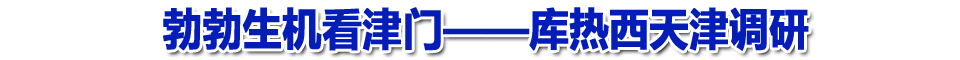 勃勃生机看津门——库热西天津调研侧记