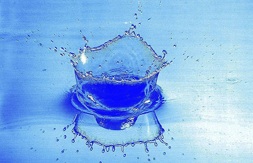 北京承德商会走进板城酒业