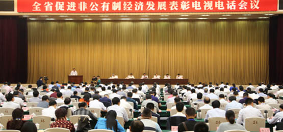 仁和集团荣膺江西2014年度先进非公有制企业