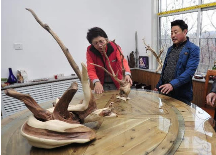 奇石根艺博览会10日开幕