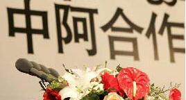 中阿合作论坛第三届中国艺术节在突尼斯开幕