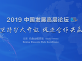 2019中国发展高层论坛