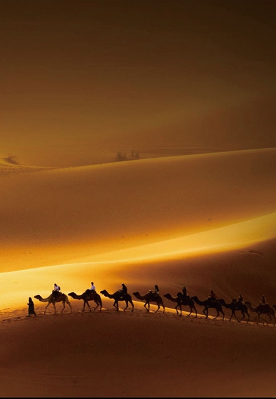 去年丝路经济带一体化报关近600万票