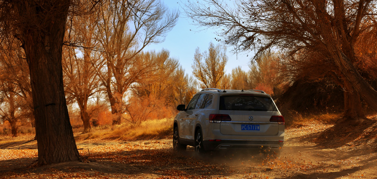 &ldquo;丝途&middot;昂扬&rdquo;考察队探访金塔胡杨林