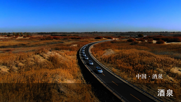 10秒看丝路：胡杨林