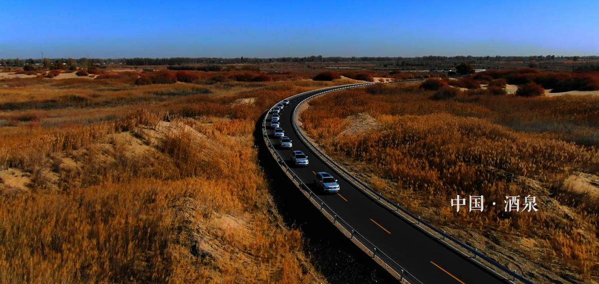 10秒看丝路：胡杨林