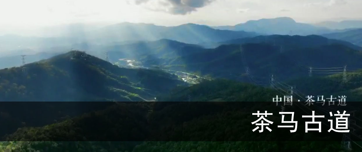 10秒看丝路：茶马古道