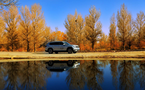 &ldquo;丝途&middot;昂扬&rdquo; 走进金塔胡杨林