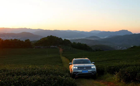 &ldquo;丝途&middot;昂扬&rdquo; 探访茶马古道