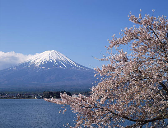 别样珍馐 品味日本