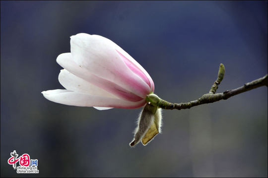 张家界武陵源景区