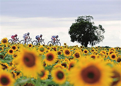 听风看景骑乐无穷