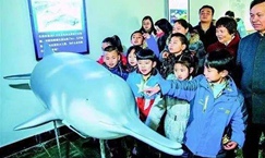 &ldquo;最后&rdquo;的白鱀豚&ldquo;淇淇&rdquo;3D打印标本展出 警示物种灭绝