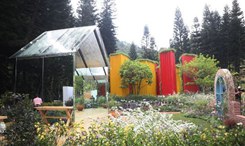 粤港澳大湾区&middot;2019深圳花展举行 千余花卉品种亮相