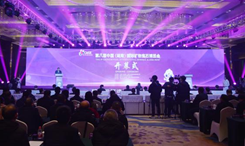 第八屆中國（湖南）國際礦物寶石博覽會開幕