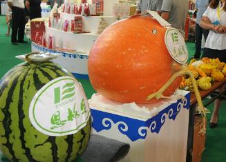 通辽（沈阳）绿色农畜产品博览会开幕