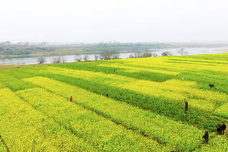 阿斯塔纳世博会中国馆举行江西活动日