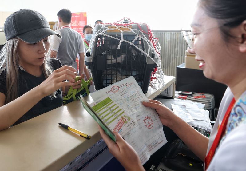 怎么才能办护照 20240828c6739bb4a9dc4b3aa039194579900eab_20240828a18ef7a600704626836b3c7f9f6e68c1.jpeg