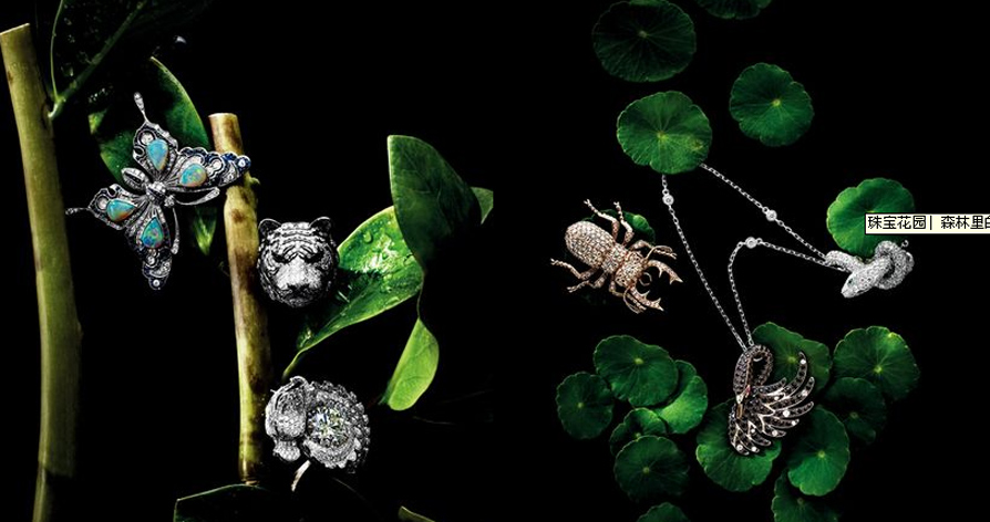仿生珠宝：森林里的宝藏