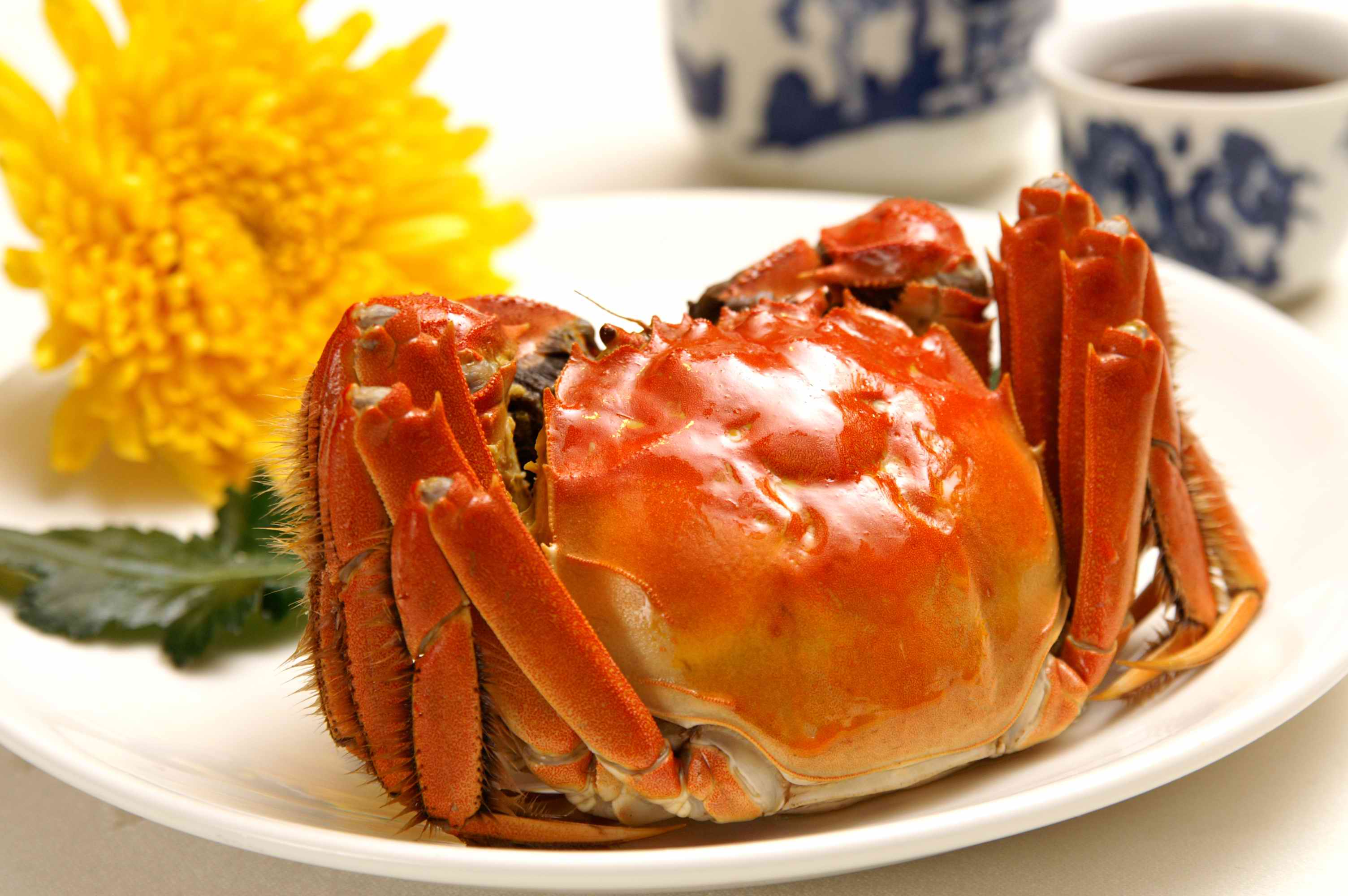 秋风乍起中的风雅珍馔