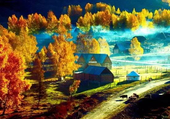 比木屋还梦幻的居民房&mdash;&mdash;图瓦人家