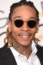 歌手维兹卡利法因红毯受访