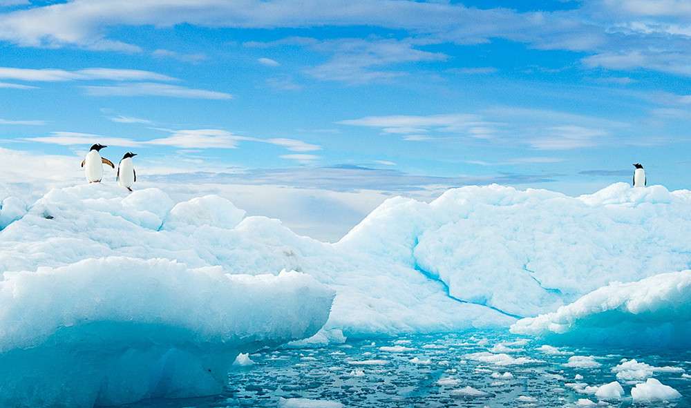 神奇的蓝色星球 探秘南北两极的冰雪世界