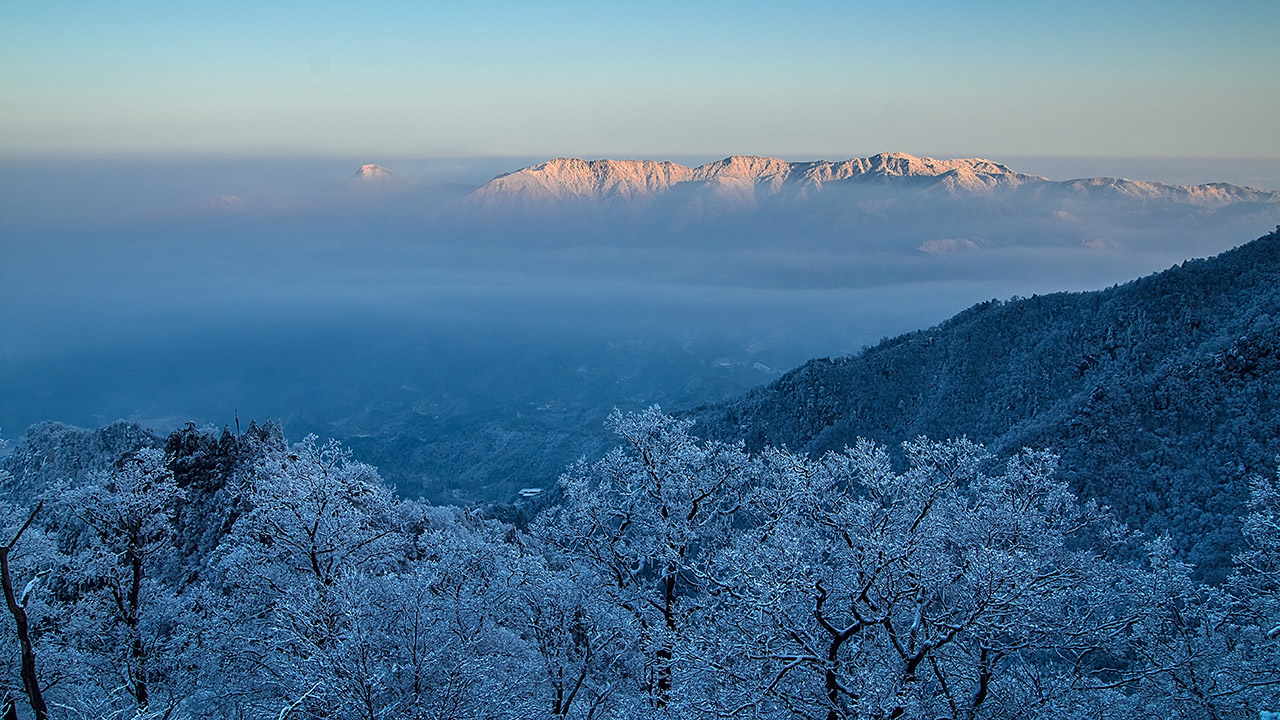 冬天去神农架滑雪看金丝猴