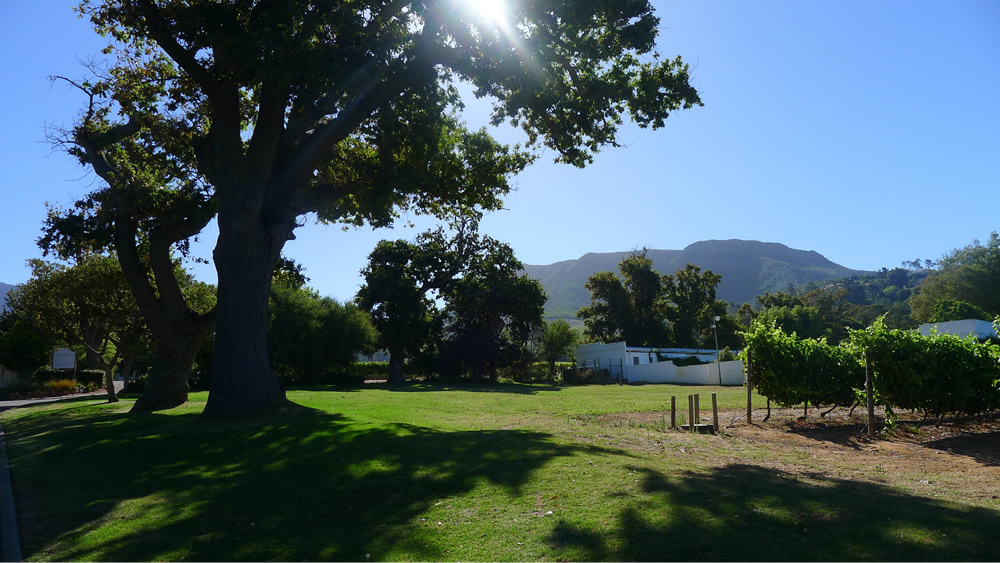 欢乐全家有 南非克鲁格花园大道温馨之旅