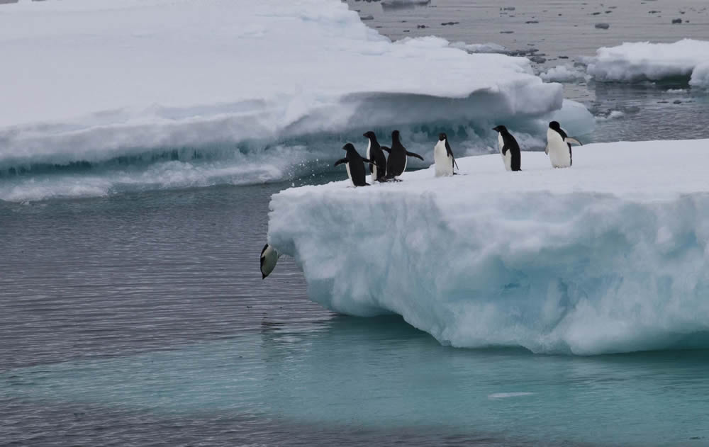 奇迹旅行“春节过大年”支持环保