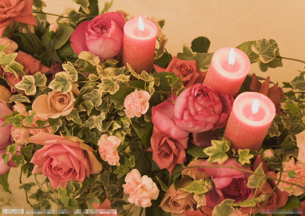 三八妇女节礼品攻略之玫瑰花