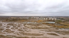 新疆且末：春风又“绿”河东岸