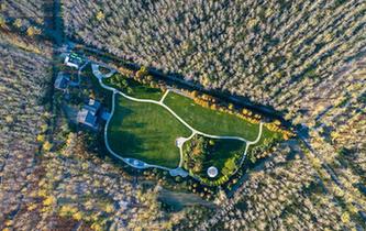 叢林盡染秋色美