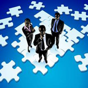 高层决策失误？