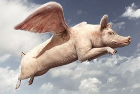 风口上A股的十大“飞猪” 你抓住了几头