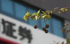 七成上市券商9月净利环比下降 海通证券等券商受罚