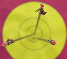 证监法网新型案例大揭秘