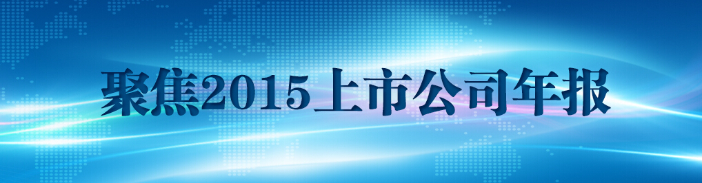 聚焦2015年上市公司年报
