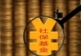 半年报露出社保基金二季度动向