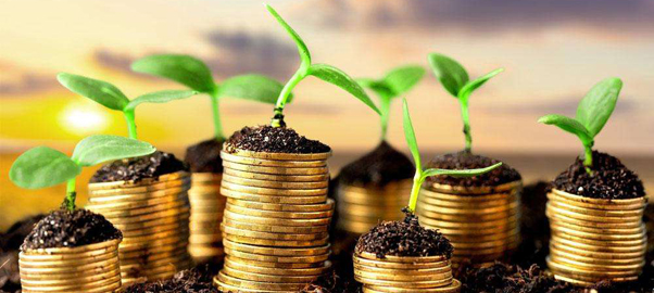 【创富报告】中国哪些地方，是创富的“热土”？